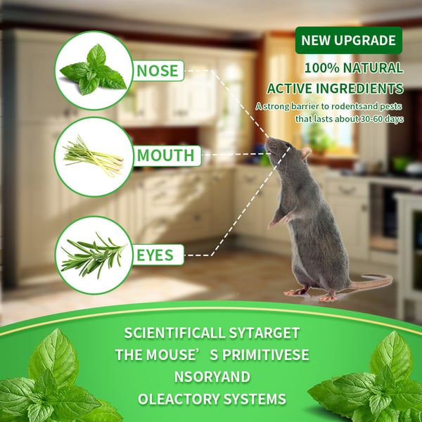 Get Rid of Rats & Mice — Without Poison, Traps, or Chemicals ✅