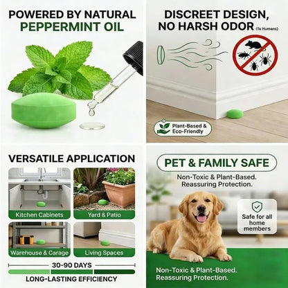Get Rid of Rats & Mice — Without Poison, Traps, or Chemicals ✅